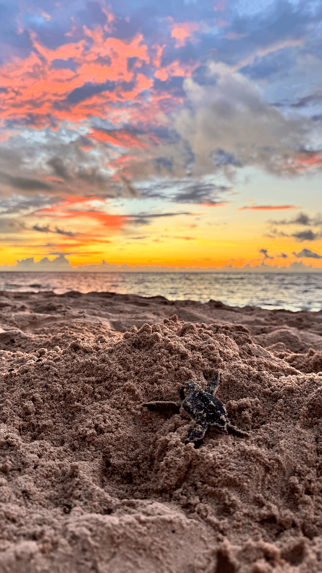 Sunrise over Akumal beach