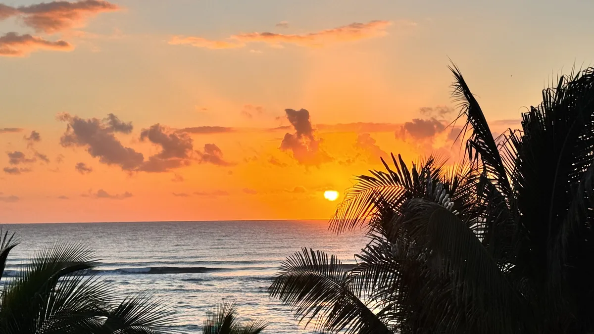 Sunrise over the Caribbean Sea seen through palm trees at Akumal, Quintana Roo