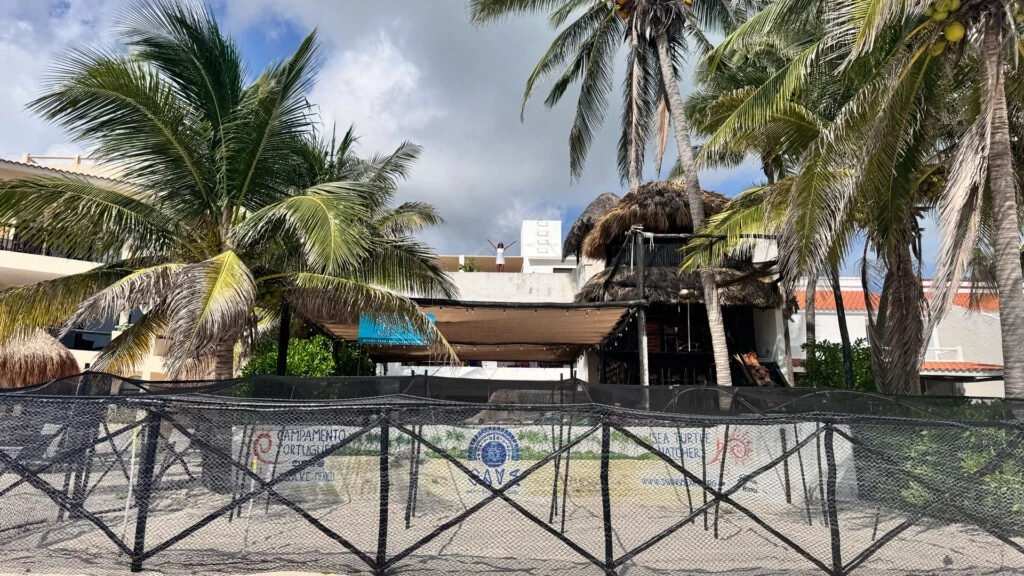 SAVE turtle conservation camp in Akumal, Riviera Maya