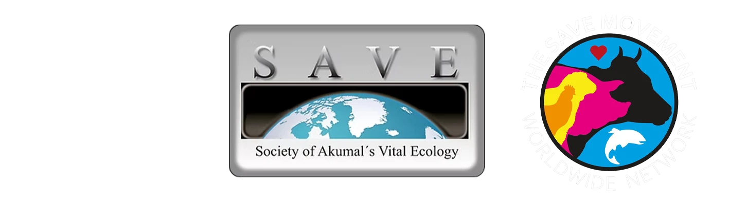 SAVE badges: Society of Akumal's Vital Ecology, and The SAVE Movement Worldwide Network
