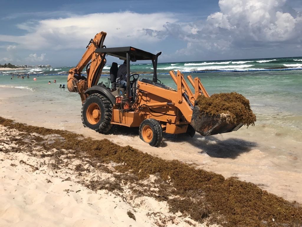 Heavy machinery removing sargassum on the Riviera Maya coastline