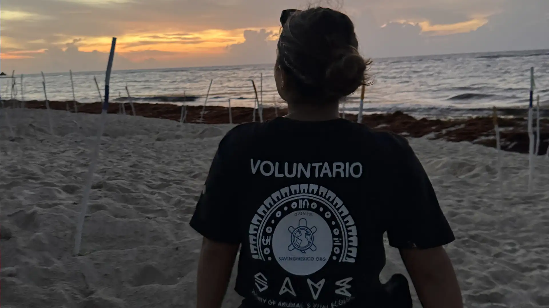 Grupo de voluntarios locales de S.A.V.E. en la playa de Akumal