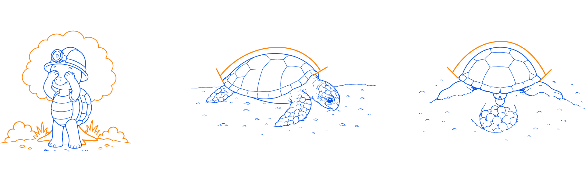 SAVE volunteer measuring a sea turtle's shell and photographing it
