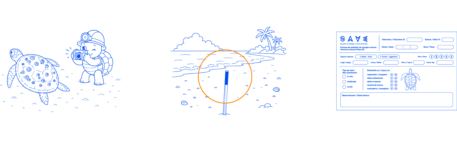 Diagram of relocating a sea turtle nest with a marking stake and data sheet
