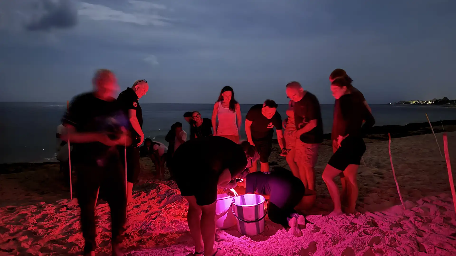 Grupo de voluntarios de S.A.V.E. en la playa de Akumal