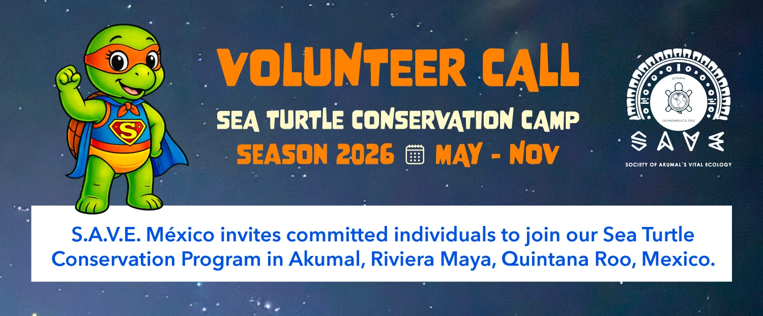 Volunteer call — SAVE Sea Turtle Conservation Camp, Season 2026