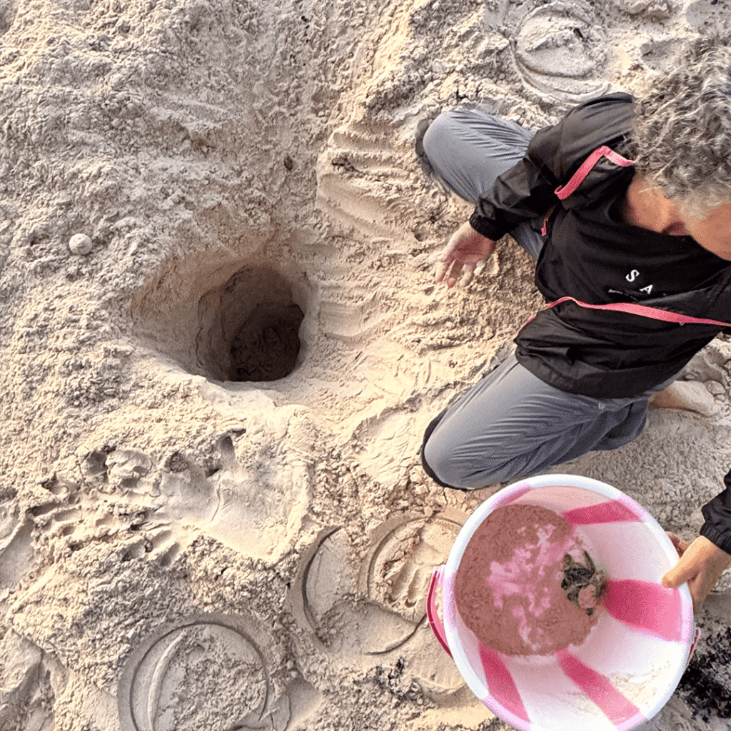 SAVE volunteers protecting a nest