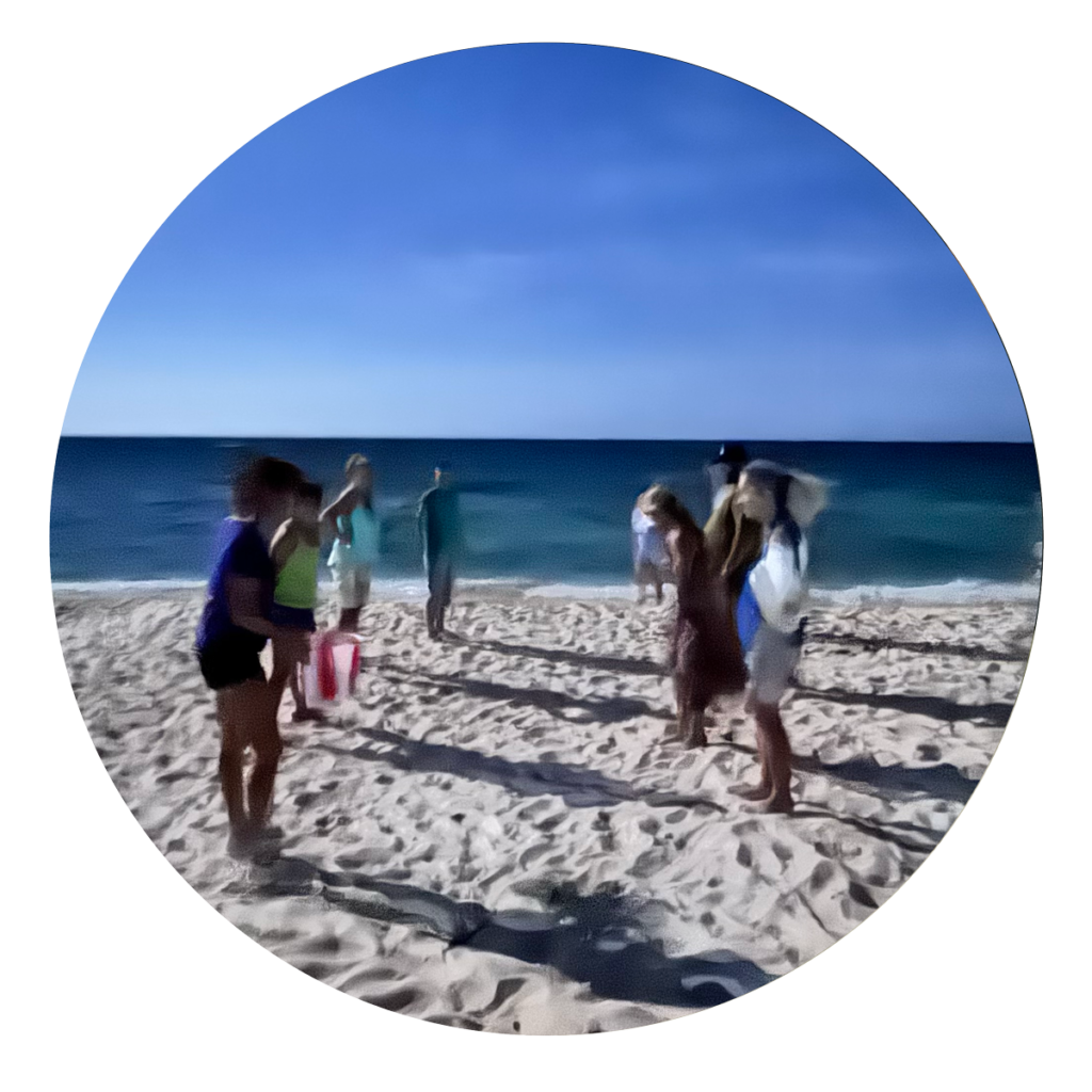 Group on the beach at sunset during a Turtle Day experience
