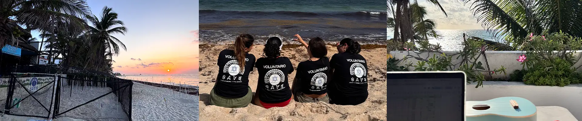 SAVE volunteer working during the sea turtle conservation program